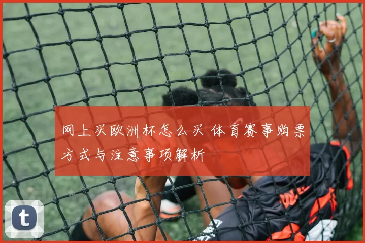 网上买欧洲杯怎么买 体育赛事购票方式与注意事项解析