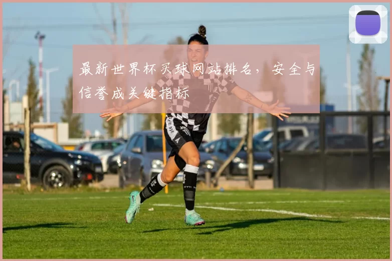 最新世界杯买球网站排名,安全与信誉成关键指标