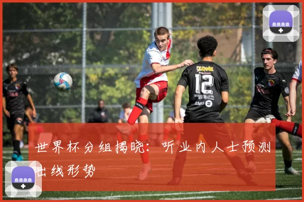 世界杯分组揭晓：听业内人士预测出线形势