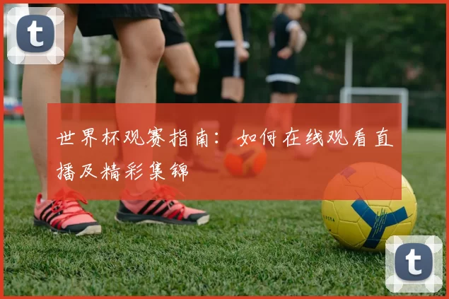 世界杯观赛指南:如何在线观看直播及精彩集锦