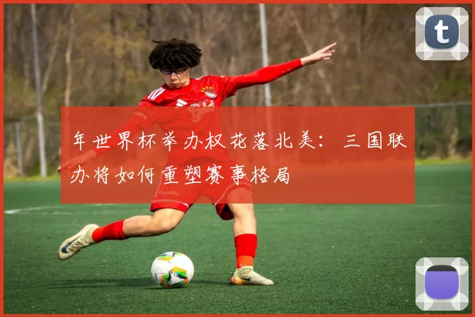 年世界杯举办权花落北美:三国联办将如何重塑赛事格局