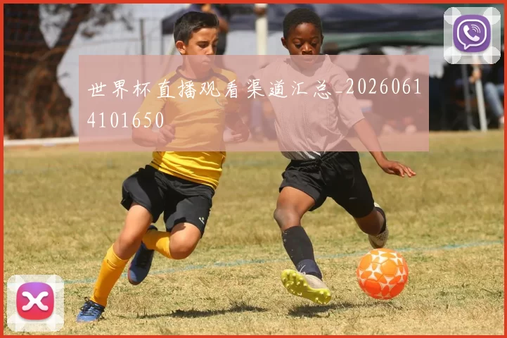 世界杯直播观看渠道汇总_20260614101650