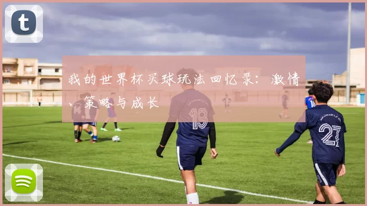 我的世界杯买球玩法回忆录:激情、策略与成长