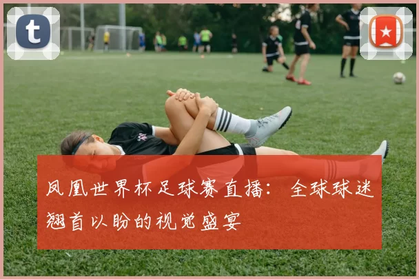 凤凰世界杯足球赛直播:全球球迷翘首以盼的视觉盛宴