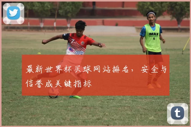 最新世界杯买球网站排名,安全与信誉成关键指标
