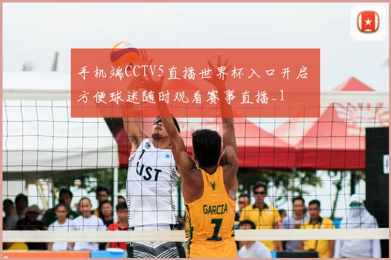 手机端CCTV5直播世界杯入口开启 方便球迷随时观看赛事直播_1