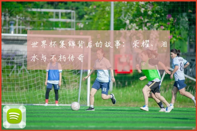 世界杯集锦背后的故事：荣耀、泪水与不朽传奇