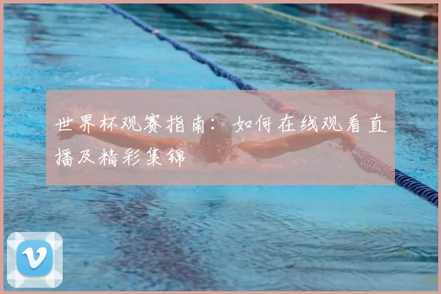 世界杯观赛指南：如何在线观看直播及精彩集锦