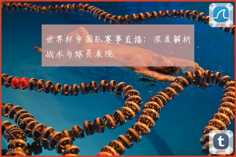世界杯中国队赛事直播：深度解析战术与球员表现