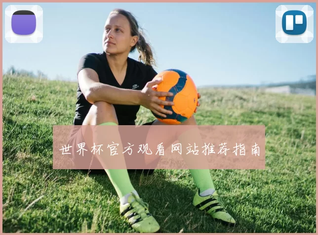 世界杯官方观看网站推荐指南