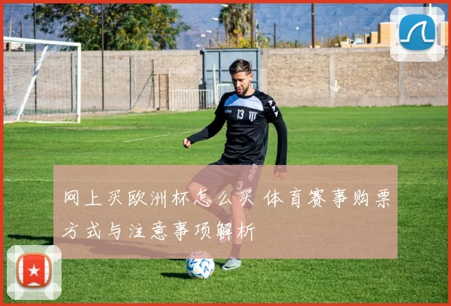 网上买欧洲杯怎么买 体育赛事购票方式与注意事项解析
