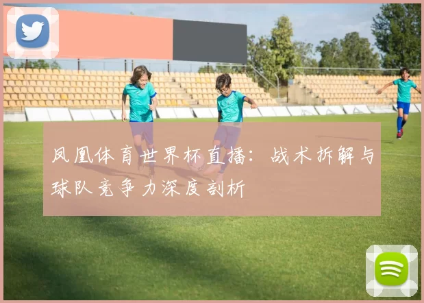 凤凰体育世界杯直播:战术拆解与球队竞争力深度剖析
