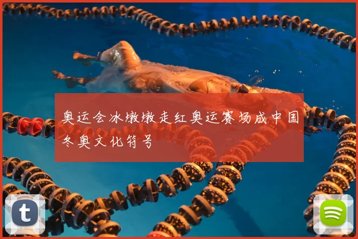 奥运会冰墩墩走红奥运赛场成中国冬奥文化符号