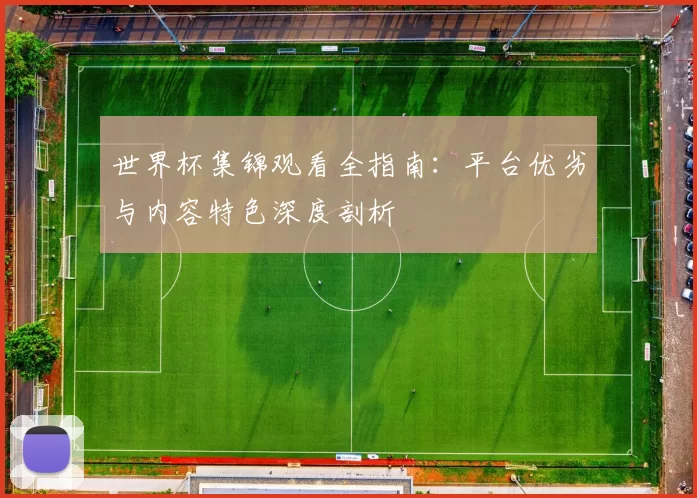 世界杯集锦观看全指南:平台优劣与内容特色深度剖析