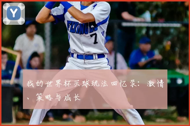 我的世界杯买球玩法回忆录:激情、策略与成长
